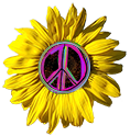 sunflower with many colored peace symbol